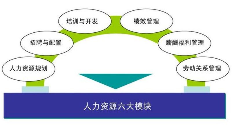 行业背景：保洁外包的兴起与趋势