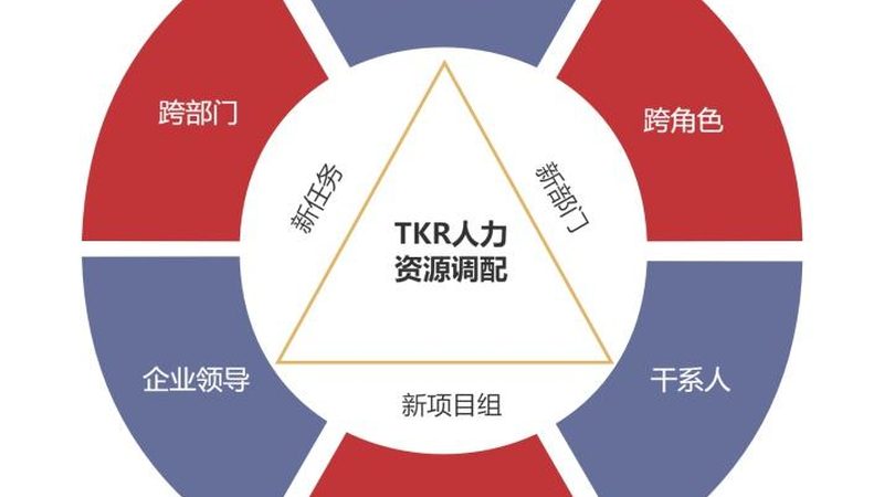 劳务公司代理费用：揭秘背后的成本构成与影响因素